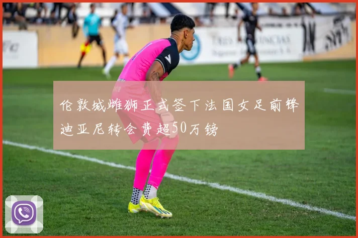 伦敦城雌狮正式签下法国女足前锋迪亚尼转会费超50万镑